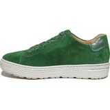 Hartjes - 162.1417 - Sneakers - Groen - Leer