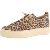 Paul Green Sneakers laag 'Pauls'  beige / lichtbruin / donkerbruin