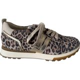 Paul Green 5392 - Lage sneakersDames sneakers - Kleur: Bruin