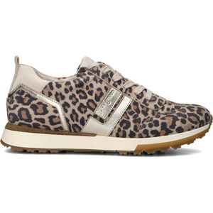 Paul Green 5392 - Lage sneakersDames sneakers - Kleur: Bruin