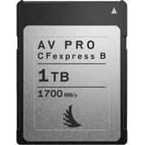 Angelbird Geheugenkaart AVpro CFexpress 1TB