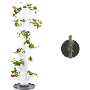 SISSI STRAWBERRY - Classic voor 13 planten - 113 cm hoog