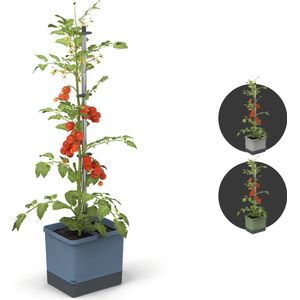 Gusta Garden - Tom Tomato - Tomaten Planten - Tomaten Plantenbak met Watertank - Kweekbak - Kweektafel - Blauw