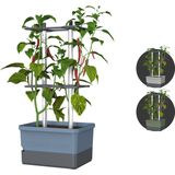 Gusta Garden - Charly Chili - Chiliplanten - Chiliplanter met watertank - Kweekbox - Kweektafel - Blauw