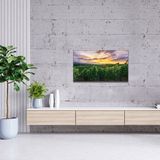 Thomson - 43QA2S13 - QLED TV - 43 Inch - 4K UHD - Smart Android