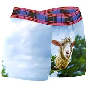 Heren schapen kijken naar de camera Stretch ondergoed Trunks, Hipster Polyester Boxer Slips Quick Dry, Multi kleuren, L