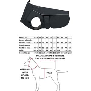 Red Dingo - Mackintosh für perfect fit dog rot dingo perfect schwarz 60 cm schwarz