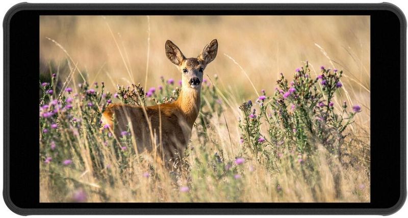 Portkeys - PT5 II - 5" 4K HDMI Touchscreen Monitor - Zwart - Compact