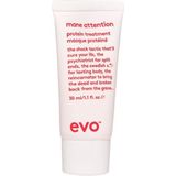 Evo Mane Attention