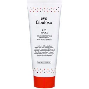 EVO - Fabuloso Colour Intensifying Conditioner - Paars Rood