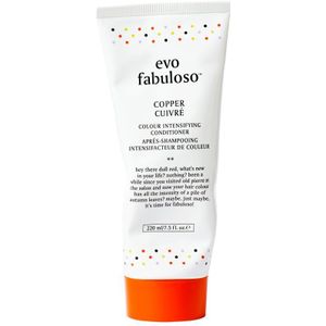 Evo Fabuloso Copper Cuivré Colour Intensifying Treatment 220 ml