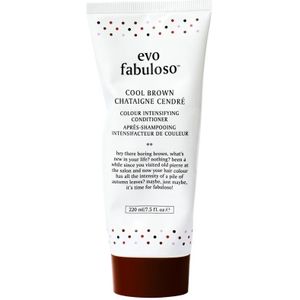 Evo Fabuloso Cool Brown Chataigne Cendré Colour Boosting Treatment 220 ml