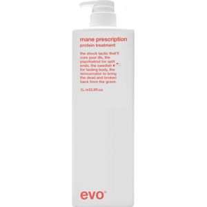 EVO - Mane Attention - Haarbehandeling - Intensief - Vegan