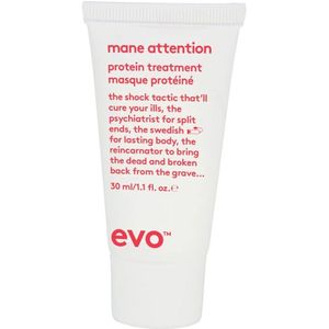 EVO Mane Attention Protein Treatment -30ml