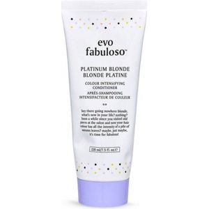 Evo - Fabuloso Colour Booster Treatment - Platinum Blonde - Vegan - Dierproefvrij