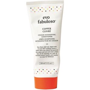 Evo Fabuloso Tube Colour Treatment Copper