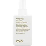 Evo - Salty Dog - Haarproduct - Strandlook - Zout - Matte Afwerking