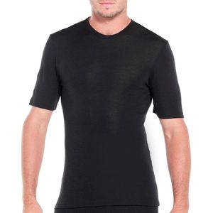 Icebreaker 175 Everyday SS Crewe Heren Thermoshirt - Black
