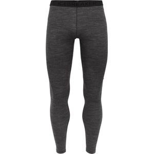 Icebreaker 200 Oasis Merino Leggings Grijs Man