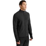 Icebreaker Descender Longsleeve met Doorlopende rits Heren, grijs