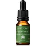Antipodes - Divine Face Oil - Gezichtsolie - 10 ml - Biologisch