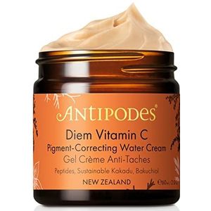 Antipodes Diem Vitamin C Pigment-Correcting Water Cream 60ml