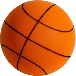 Stille Basketbal - Voor in Huis - Silent Basketball - 9,5 Inch (24 cm) - Foam Bal
