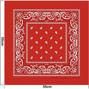 Boerenzakdoek rood 1 stuk - Bandana rood - Zakdoek rood