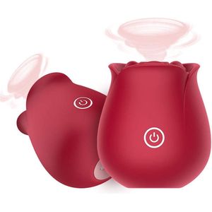 Clitoris stimulator - Vibrator roos - Vibrators voor vrouwen - 10 Standen - USB Oplaadbaar - Sex toys voor vrouwen - Siliconen - Roos rood