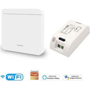 Slimme lichtschakelaar | Wandschakelaar | Ontvanger | Combiset | Alexa & Google Home | SmartHomeSwitch