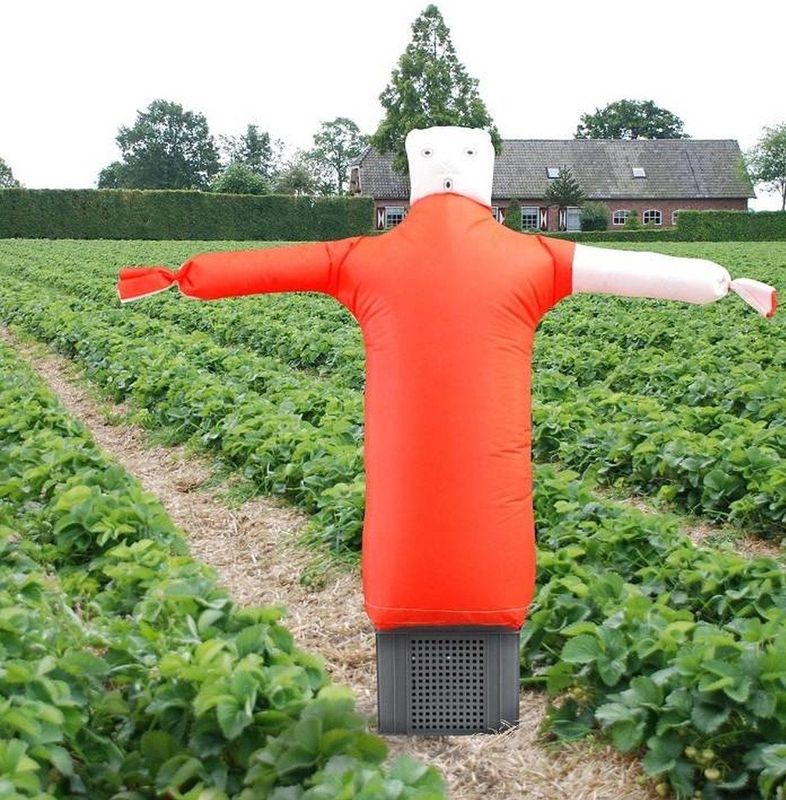 Portek Scare man Vogelverschrikker