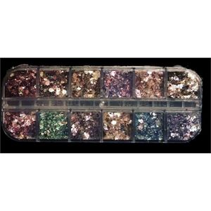 Glitterbox 1 - Glitters - Nail art - Glitter nagels - Nagelverzorging - Nail art tools - 12 verschillende kleuren glitters - Nageldecoratie - Gelnagels - Acryl nagels - Polygel