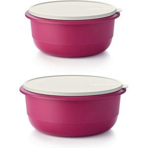 Tupperware mix en mengkom set van 2