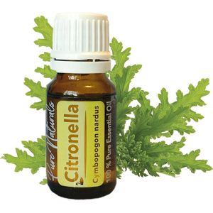 Essentiële Olie Aromatherapie - Biologisch - Citronella - Flesje 10ml - Pure Naturals