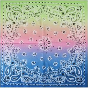 Haarband Bandana Zakdoek Paisley Print Pastel Roze Groen Blauw