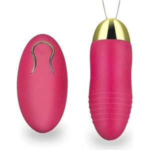 Erotic Toys Love Egg - Siliconen oplaadbaar trilei met afstandsbediening