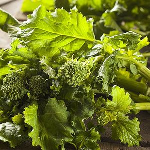 Broccoletto zaden - Ricchia di San Marzano