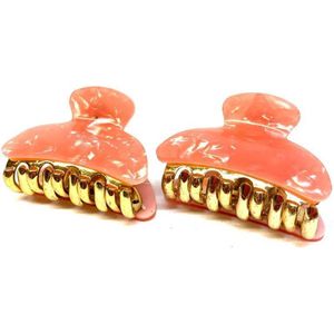 Kleine Haarklemmen - Haarclip - Zalm - Goudkleurig - Set 2 Stuks