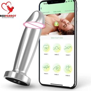 Bluetooth bestuurbare buttplug - Anaal plug vibrerend - Vibrator - 10 vibratiestanden - APP - Telefoon - Penis buttplug