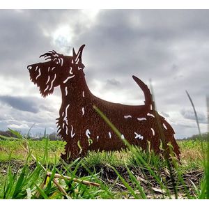 schotse terrier - dierenbeeld - cortenstaal - 45 x60 - NL fabrikaat