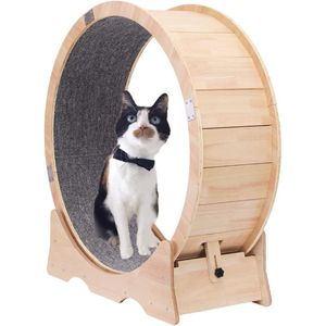 Loopwiel kat - Katten loopwiel - Looprad kat - Kattenwiel - Looprad
