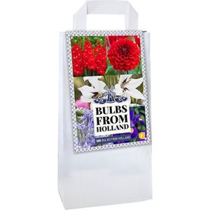 Bloembollen 125 Stuks - Dahlia / Gladiolen / Freesia / Triteleia - Rood - Wit en Blauw - Garden Select