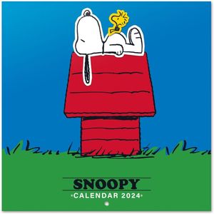 Baby's eerste jaar - Dagboek kalender