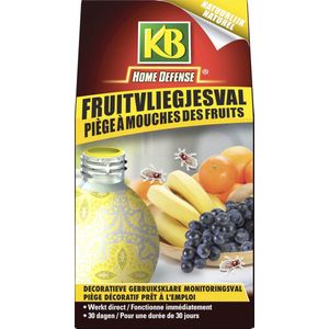 KB Fruitvliegjesval - Fruitvliegjes vanger - 2 stuks - Bestrijdingsmiddel - Garden Select