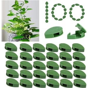 100x stuks klimplanten bevestiging aan de muur, plantenclips, klimmers, clips voor tuinen, planten, klimwandclips