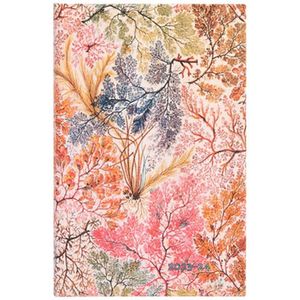 Boek - Flora Londinensis - William Kilburn - Illustraties - Ierse Plantkunde