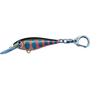 Vis Plug Sleutelhanger Funky Forel Viscadeautje Keyring Cadeau Vissen Streetfishing Cadeau Visser