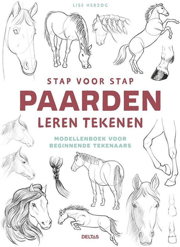 Stap voor stap paarden leren tekenen