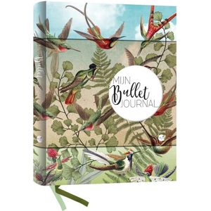 Mijn Bullet Journal - kolibrie
