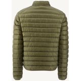 JOTT  TOM  jassen  heren Bruin